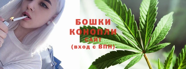 ECSTASY Елизово