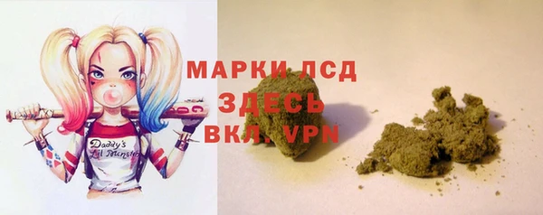 ECSTASY Елизово