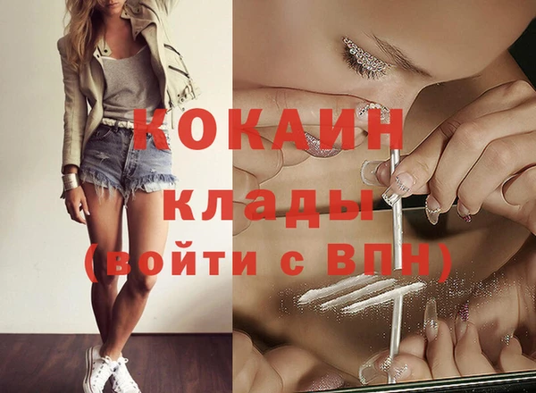 ECSTASY Елизово