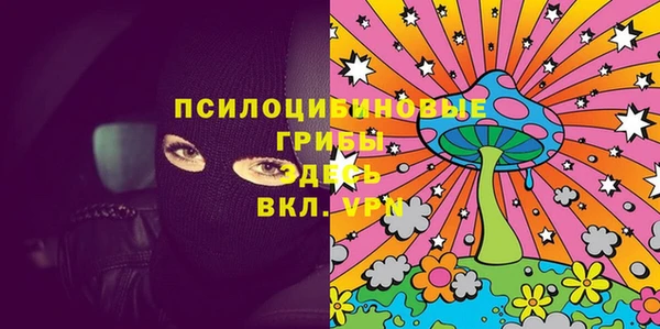 ECSTASY Елизово