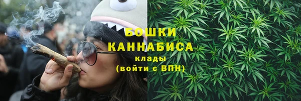 ECSTASY Елизово