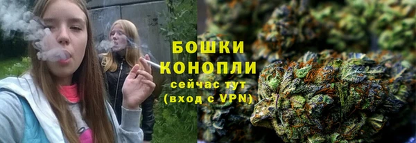 соль ск Елабуга