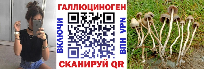 Галлюциногенные грибы Cubensis  Купить где  Катав-Ивановск 